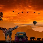 honeymoon india places covid travelhyme