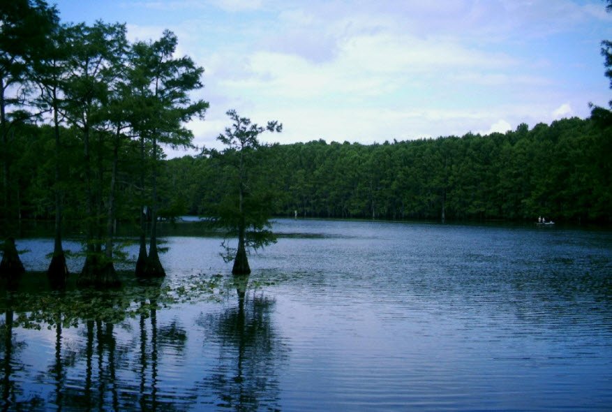 Caddo Lake Travelhyme