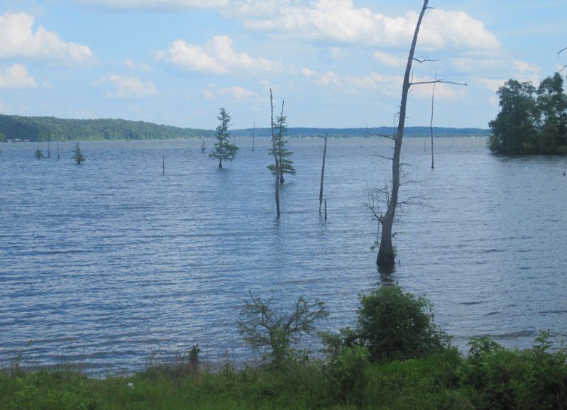 Lake DArbonne Travelhyme