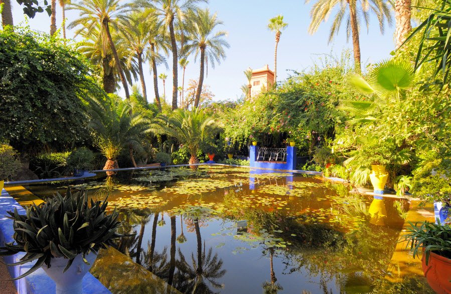 Majorelle Gardens Marrakech Travelhyme