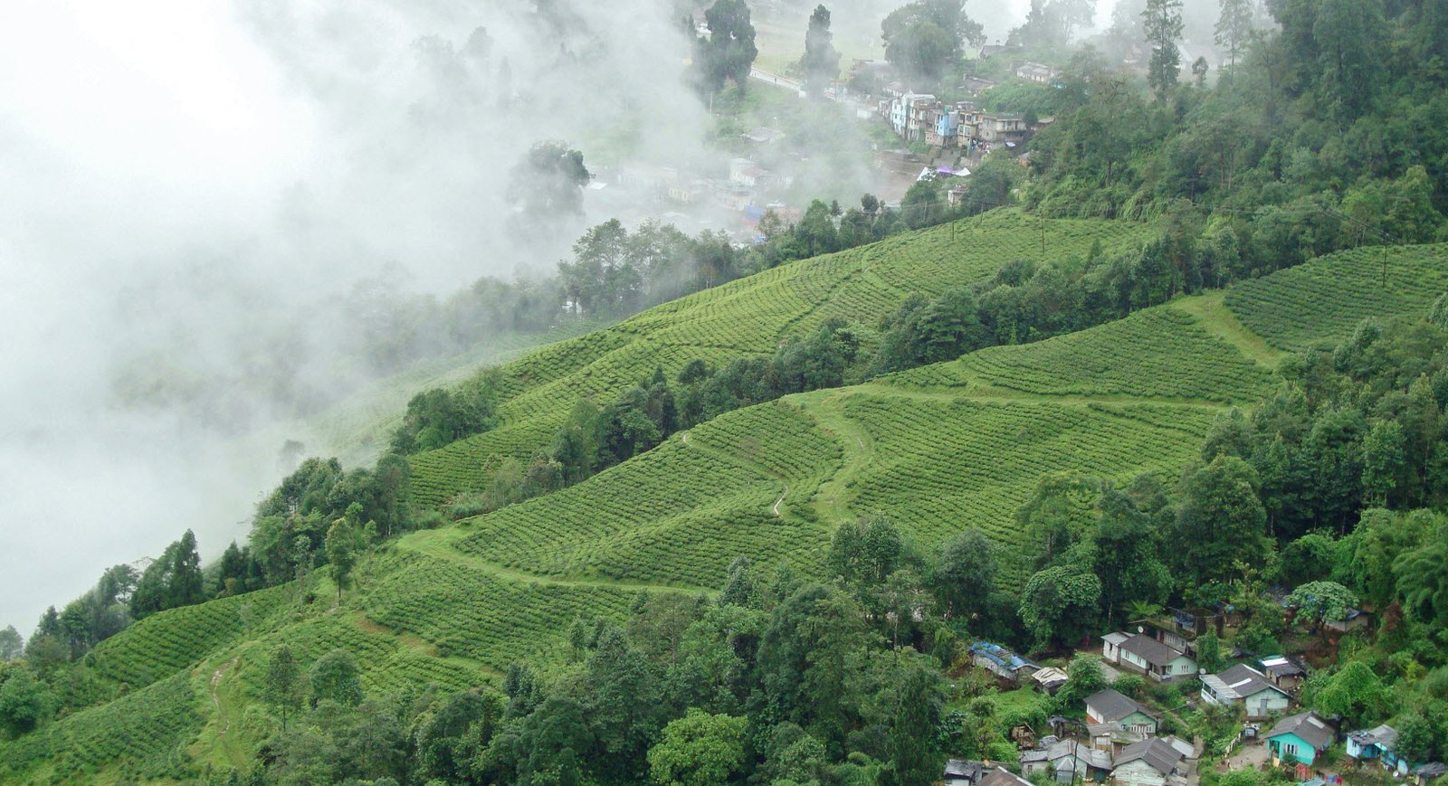 Darjeeling India Summer Places Travelhyme