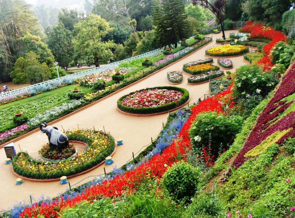 Rose Garden Chandigarh Famous Places Travelhyme