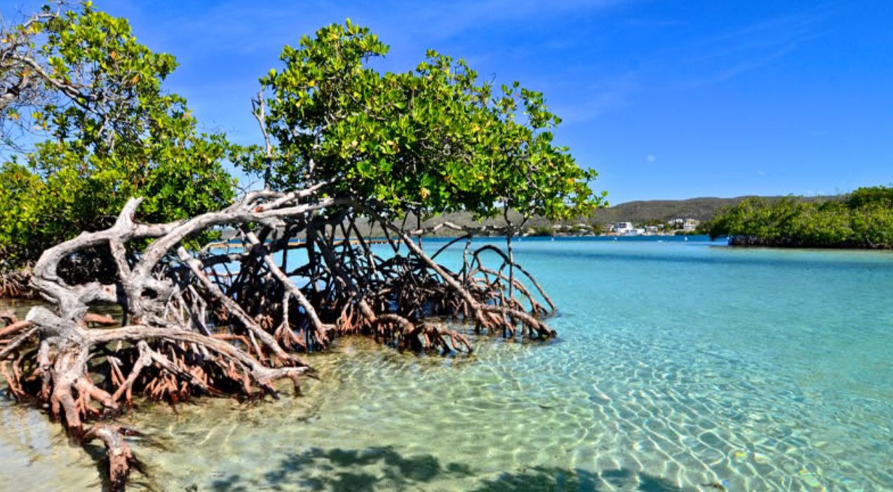 Gilligans Island In Guanica Puerto Rico