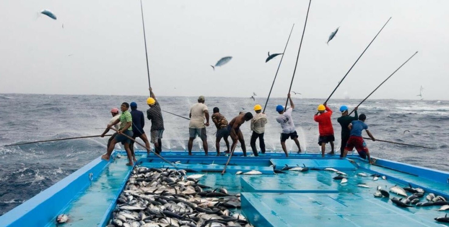 Fishing Maldives